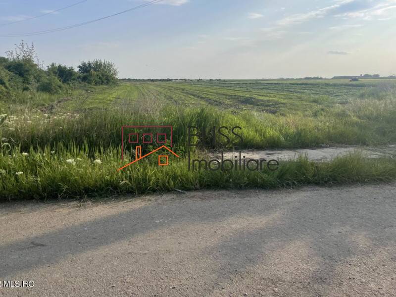 Photo 10 - BLISS Imobiliare