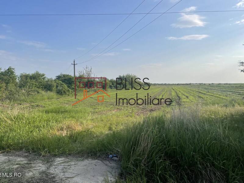 Photo 11 - BLISS Imobiliare