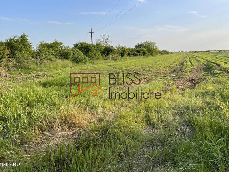 Photo 12 - BLISS Imobiliare