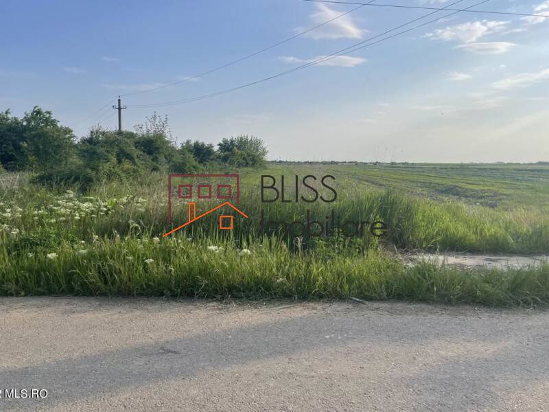 Photo 13 - BLISS Imobiliare