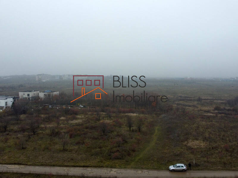 Photo 4 - BLISS Imobiliare