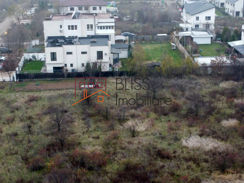 Photo 7 - BLISS Imobiliare