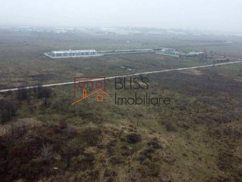 Photo 9 - BLISS Imobiliare