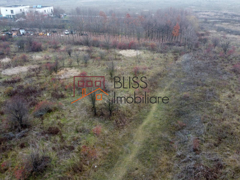 Photo 11 - BLISS Imobiliare