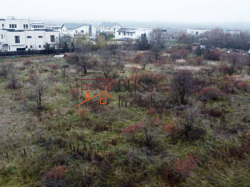 Photo 13 - BLISS Imobiliare