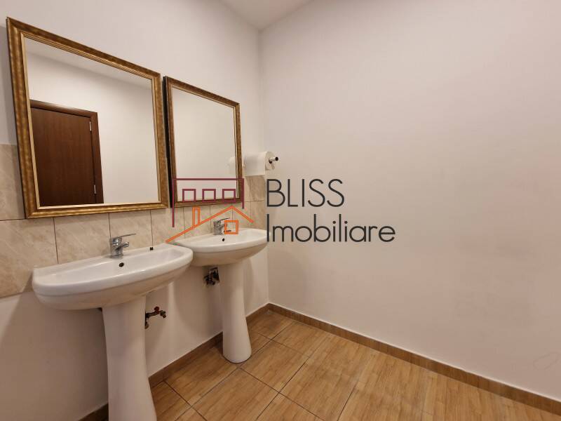 Office Space In Piata Muncii-Decebal Area, Bucharest | Bliss Imobiliare / Photo 38 - BLISS Imobiliare