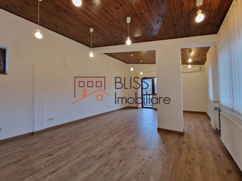 Office Space In Piata Muncii-Decebal Area, Bucharest | Bliss Imobiliare / Photo 49 - BLISS Imobiliare