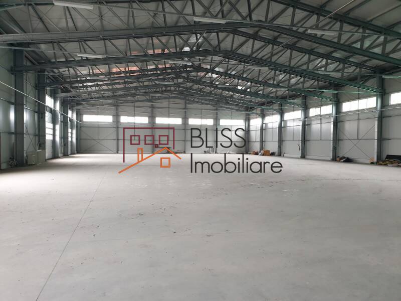 Modern Warehouse With Office Space, Bucharest / Ilfov | Bliss Imobiliare / Photo 3 - BLISS Imobiliare