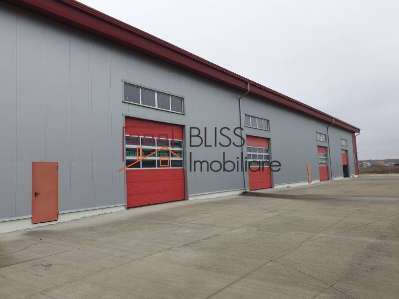 Modern Warehouse With Office Space, Bucharest / Ilfov | Bliss Imobiliare / Photo 2 - BLISS Imobiliare