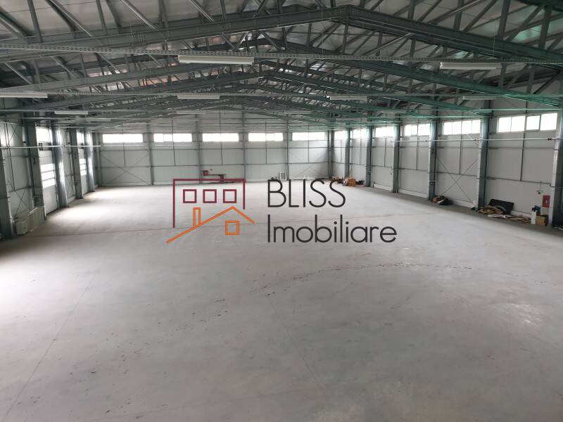 Modern Warehouse With Office Space, Bucharest / Ilfov | Bliss Imobiliare / Photo 4 - BLISS Imobiliare