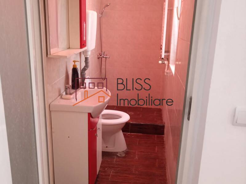 House for Sale Piata Victoriei, Bucharest - 1 Bedroom - ID:106788 | Bliss Imobiliare / Photo 8 - BLISS Imobiliare