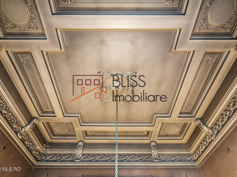 Villa for Sale Piata Victoriei, Bucharest - 6 Bedroom - ID:114385 | Bliss Imobiliare / Photo 18 - BLISS Imobiliare