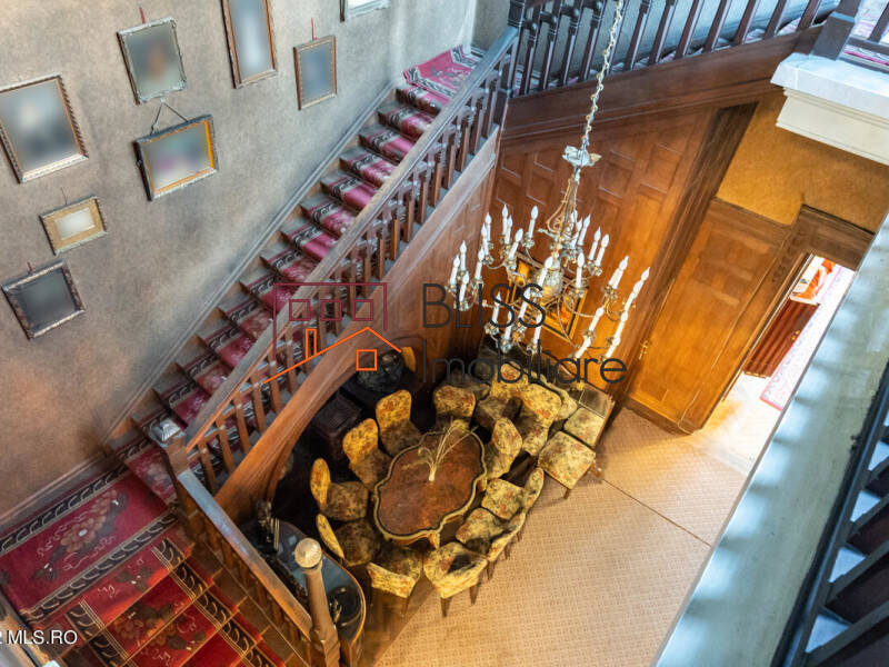 Villa for Sale Piata Victoriei, Bucharest - 6 Bedroom - ID:114385 | Bliss Imobiliare / Photo 29 - BLISS Imobiliare