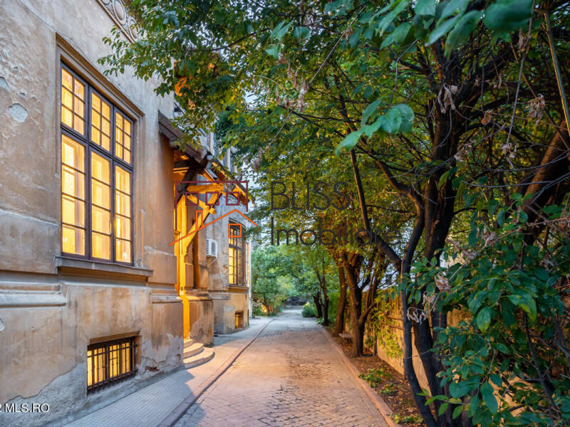 Villa for Sale Piata Victoriei, Bucharest - 6 Bedroom - ID:114385 | Bliss Imobiliare / Photo 37 - BLISS Imobiliare