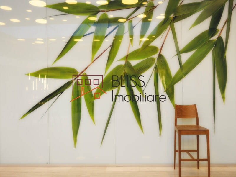 Photo 9 - BLISS Imobiliare