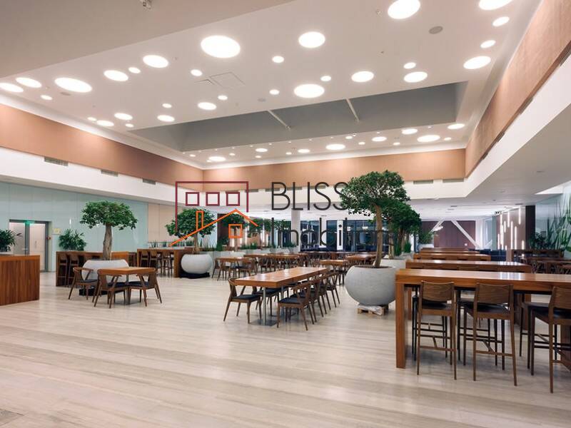 Photo 7 - BLISS Imobiliare