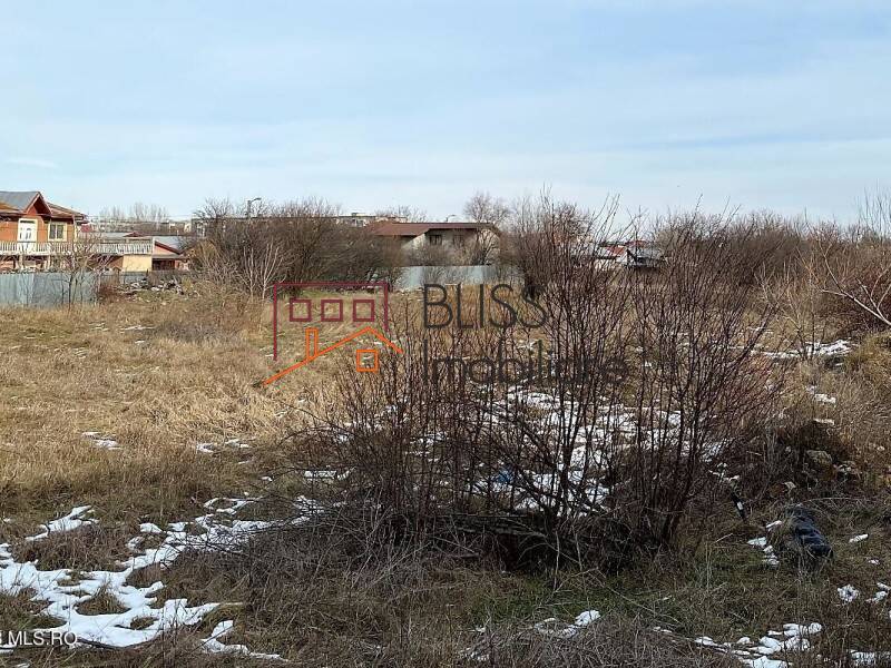 Photo 8 - BLISS Imobiliare