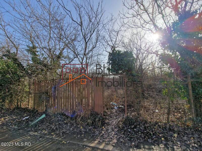 Photo 3 - BLISS Imobiliare