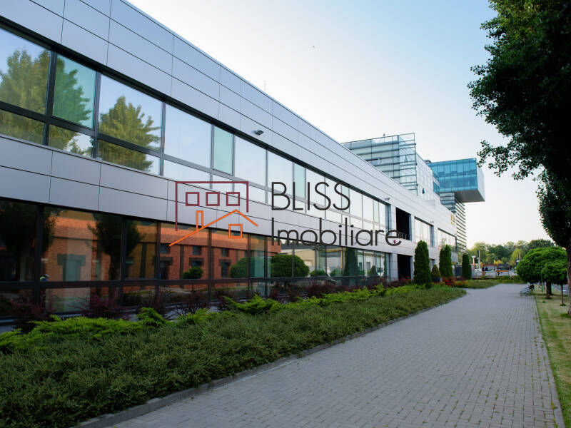 Photo 6 - BLISS Imobiliare