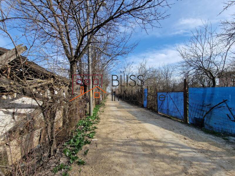 Photo 8 - BLISS Imobiliare