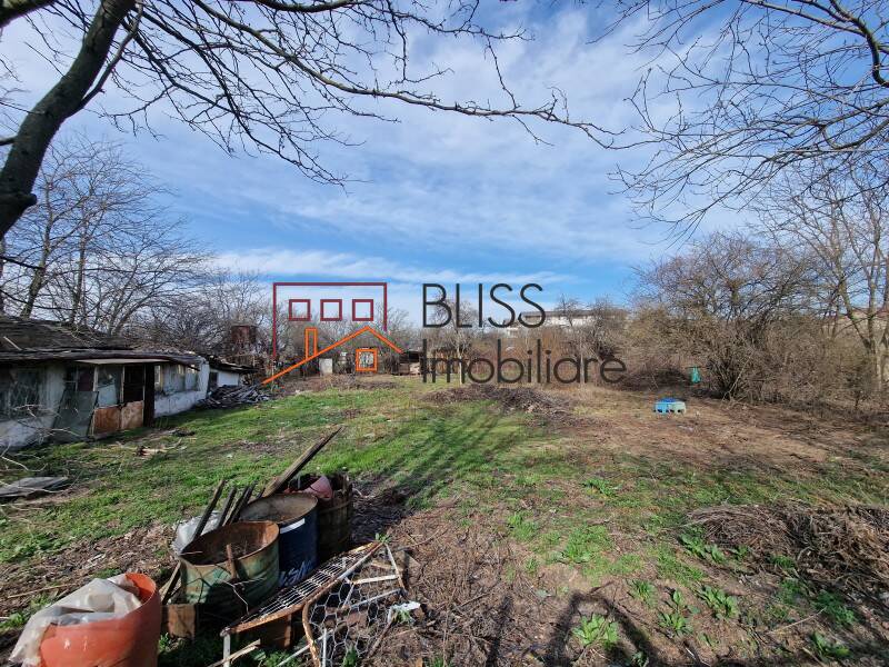 Photo 11 - BLISS Imobiliare