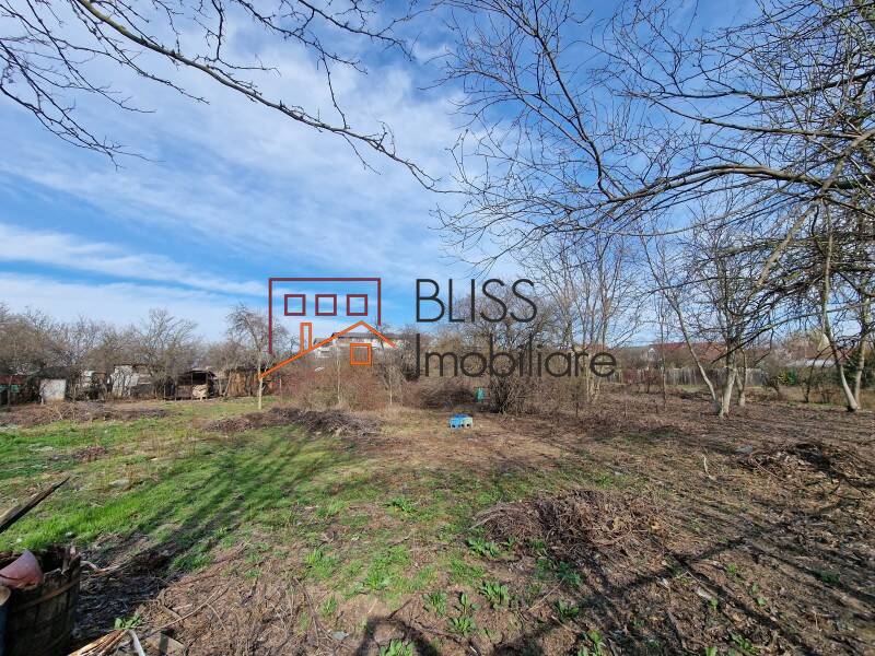 Photo 10 - BLISS Imobiliare