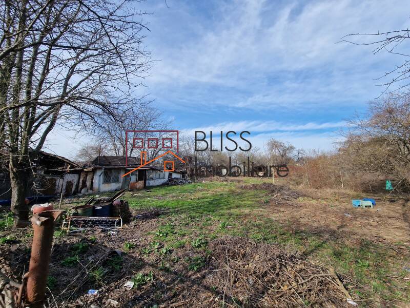 Photo 12 - BLISS Imobiliare