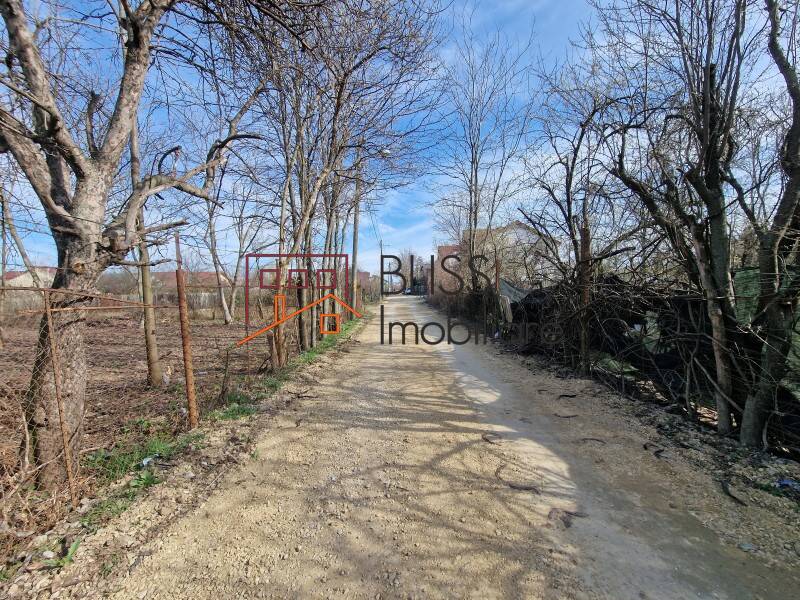 Photo 14 - BLISS Imobiliare