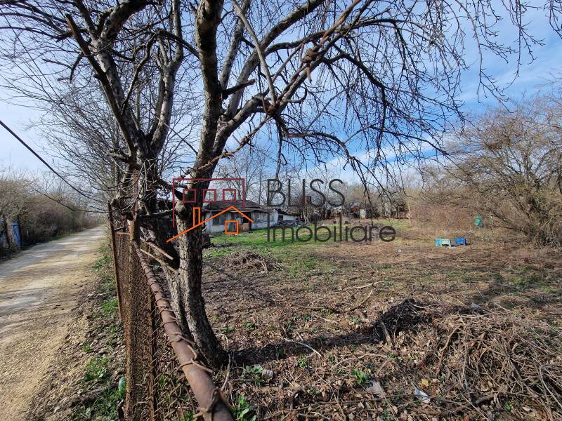 Photo 9 - BLISS Imobiliare