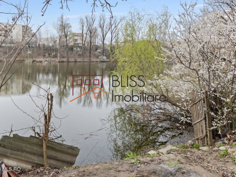 Photo 6 - BLISS Imobiliare