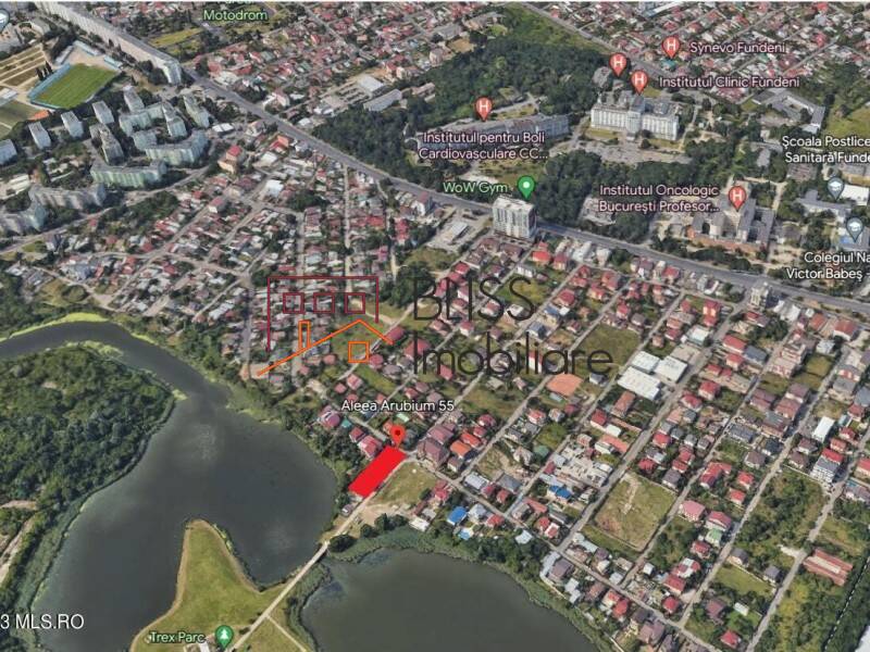 Photo 1 - BLISS Imobiliare