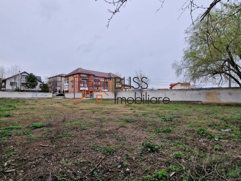 Photo 3 - BLISS Imobiliare