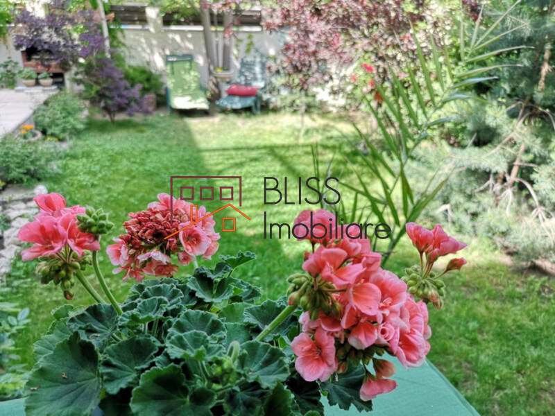 Villa for Rent Iancu Nicolae | Pipera, Bucharest / Ilfov - 4 Bedroom - ID:115271 | Bliss Imobiliare / Photo 4 - BLISS Imobiliare