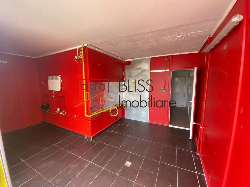 Villa for Sale Snagov, Bucharest / Ilfov - 14 Rooms - ID:115323 | Bliss Imobiliare / Photo 19 - BLISS Imobiliare