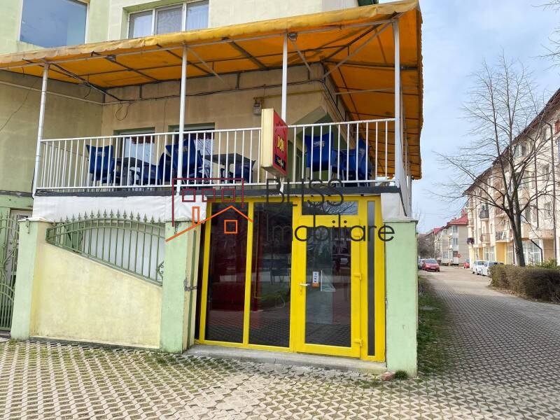 Villa for Sale Snagov, Bucharest / Ilfov - 14 Rooms - ID:115323 | Bliss Imobiliare / Photo 18 - BLISS Imobiliare