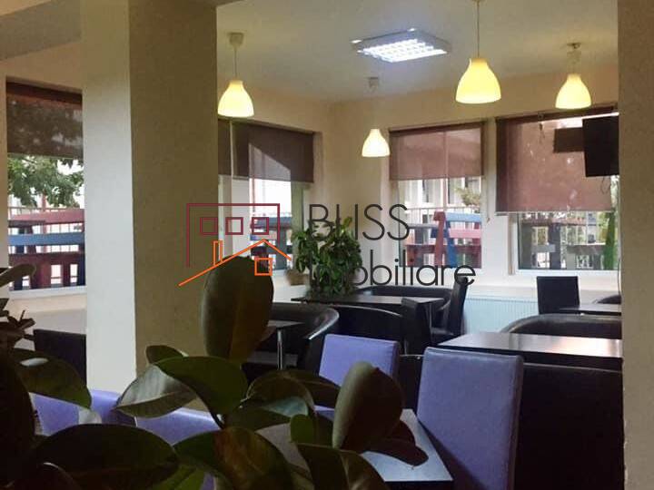 Vila de Vanzare Snagov - 14 Camere - ID:115323 | Bliss Imobiliare / Photo 25 - BLISS Imobiliare