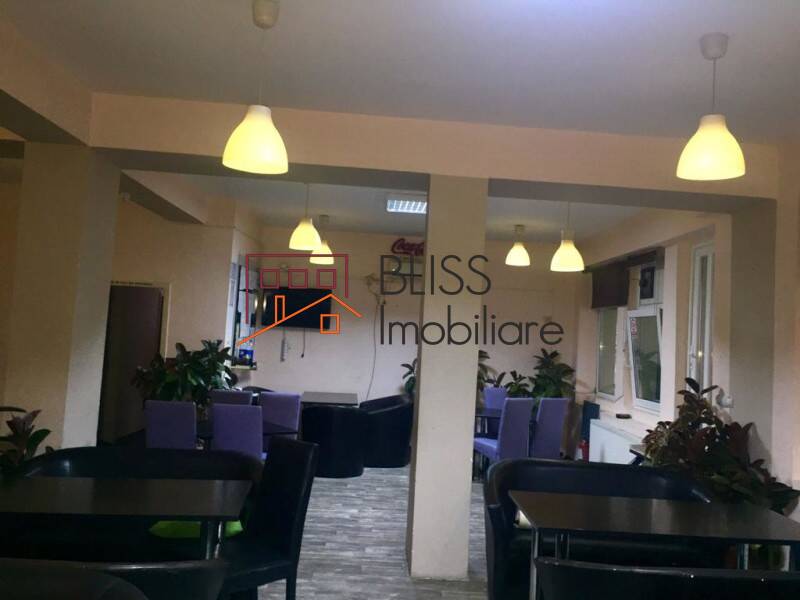 Vila de Vanzare Snagov - 14 Camere - ID:115323 | Bliss Imobiliare / Photo 32 - BLISS Imobiliare