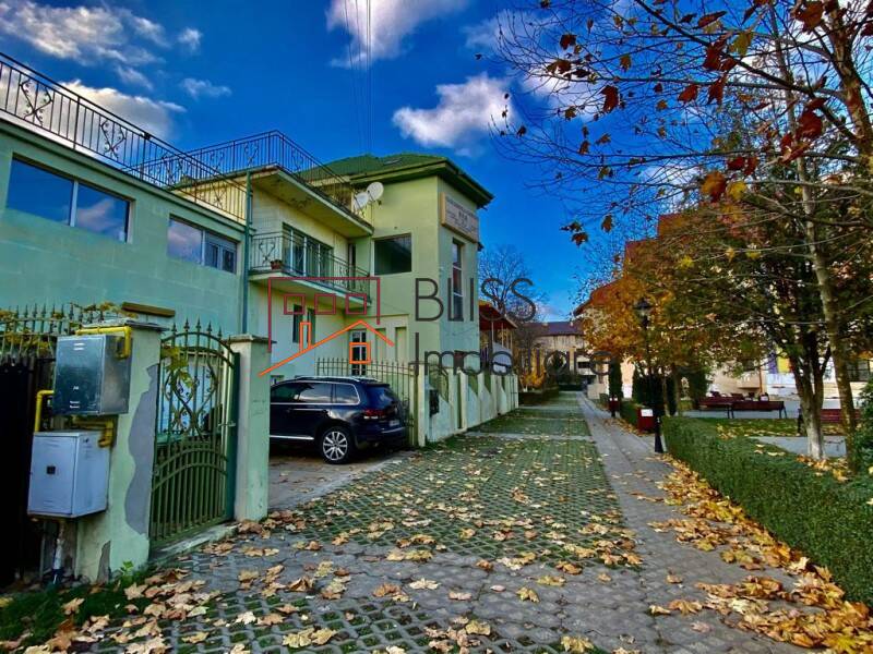 Vila de Vanzare Snagov - 14 Camere - ID:115323 | Bliss Imobiliare / Photo 37 - BLISS Imobiliare