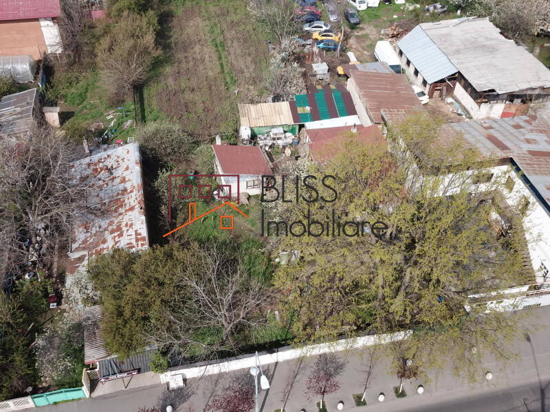 Photo 12 - BLISS Imobiliare