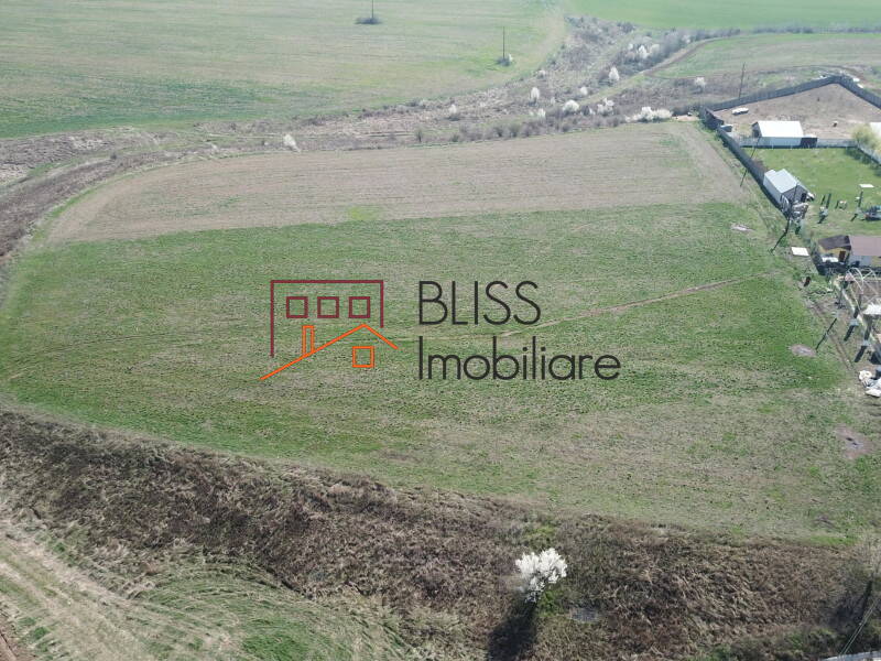 Photo 2 - BLISS Imobiliare