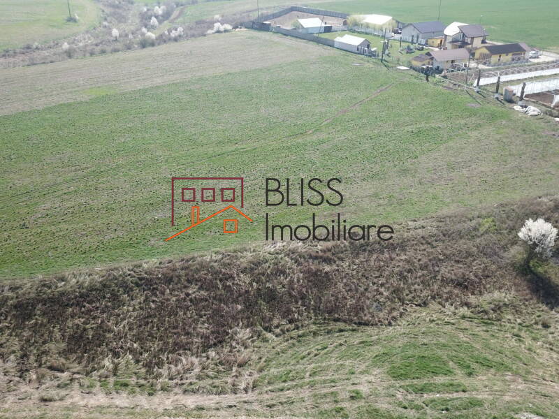 Photo 4 - BLISS Imobiliare