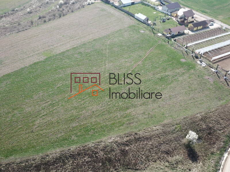 Photo 5 - BLISS Imobiliare
