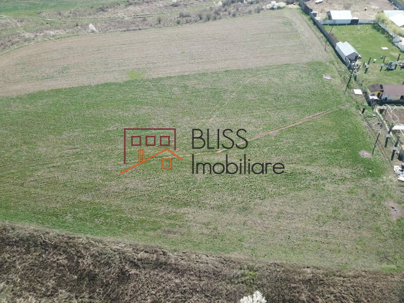 Photo 6 - BLISS Imobiliare