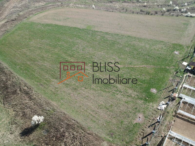 Photo 7 - BLISS Imobiliare