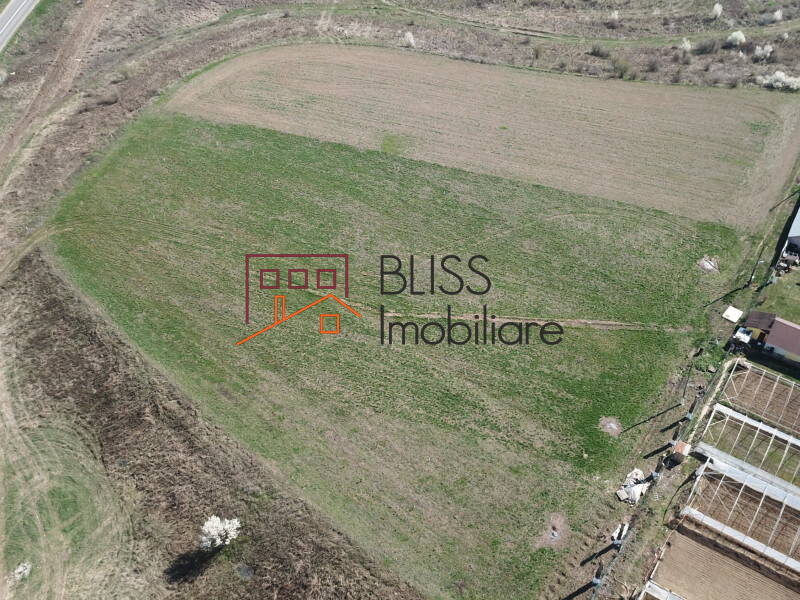 Photo 8 - BLISS Imobiliare