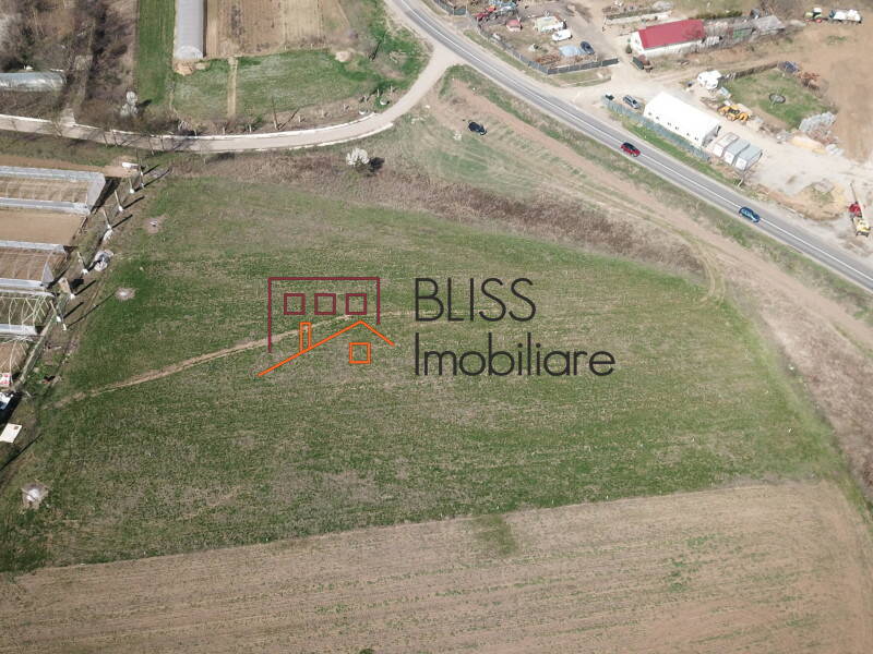Photo 10 - BLISS Imobiliare