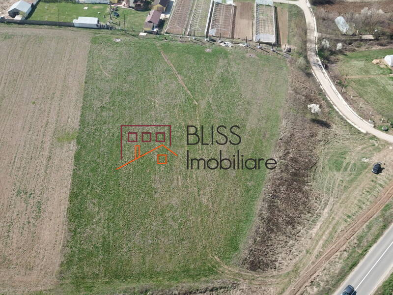 Photo 11 - BLISS Imobiliare