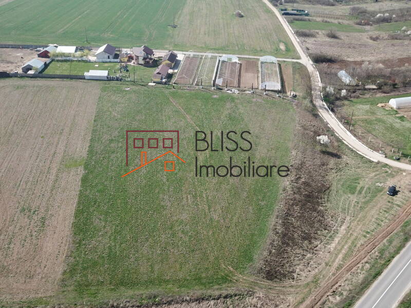Photo 12 - BLISS Imobiliare