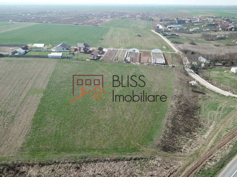 Photo 13 - BLISS Imobiliare