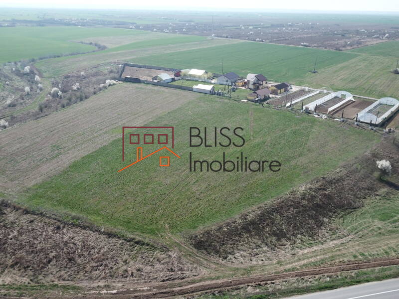 Photo 14 - BLISS Imobiliare
